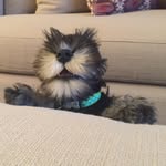 Leroy