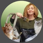 Ремонт  Декор Перекраска  Коты