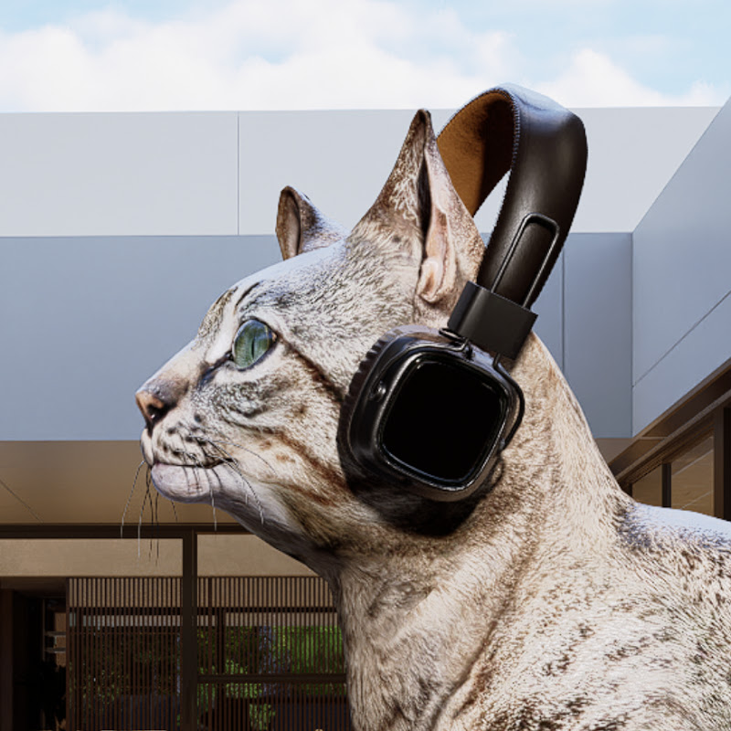Cat arch music