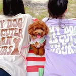 Pudding 🐾 Pomapoo