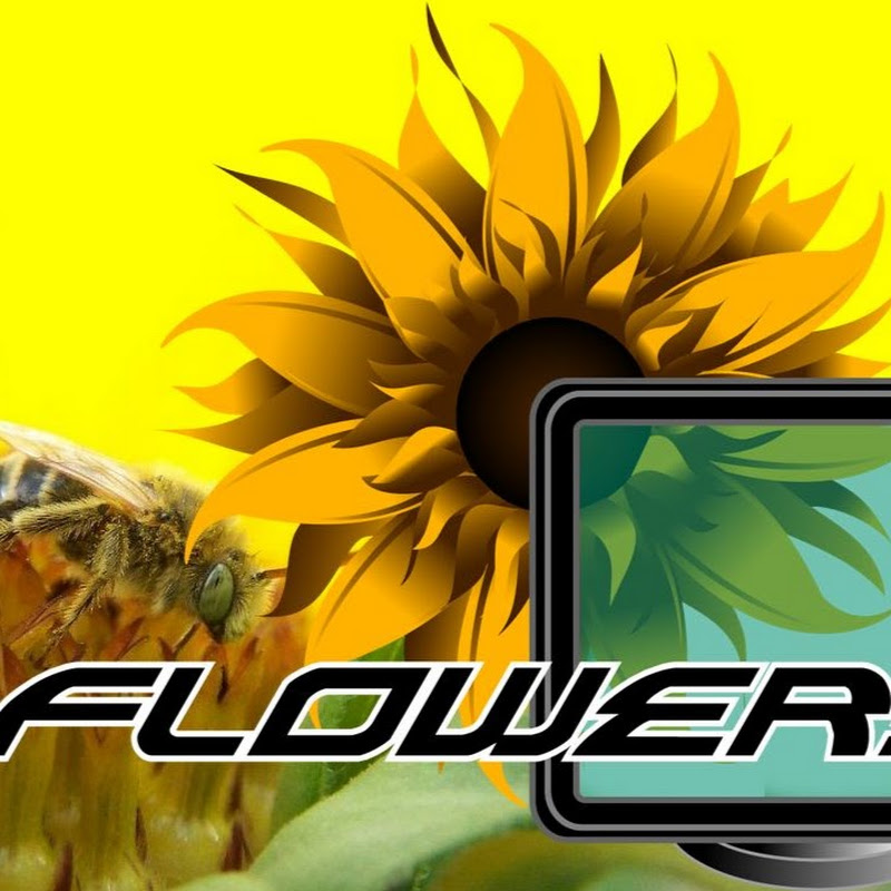 Flowers VG