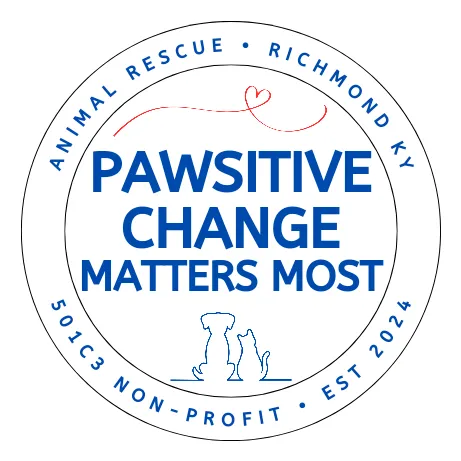 Pawsitive Change Matters Most