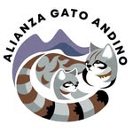 Alianza Gato Andino