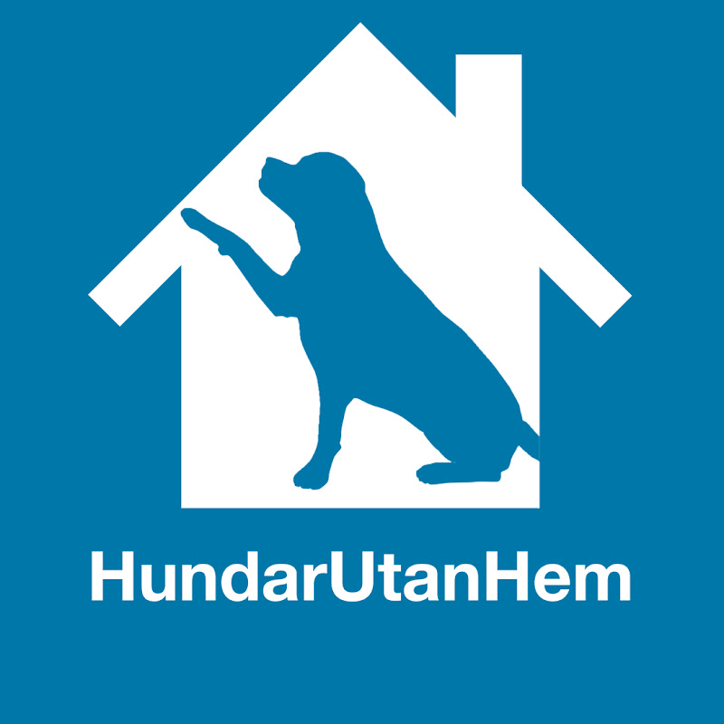 Hundar Utan Hem