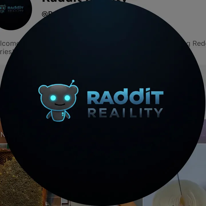 Raddit Reality