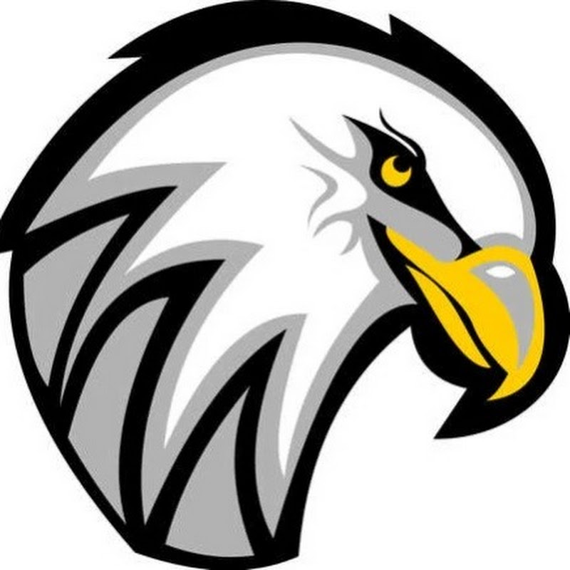 Eagle eyes from the sky