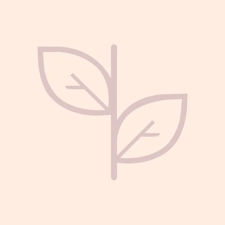 Baby Journey Pregnancy app