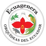 ecuagenera_araceae