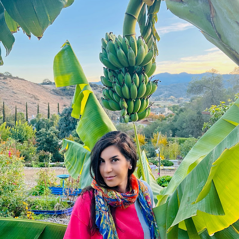 Marzi’s Garden