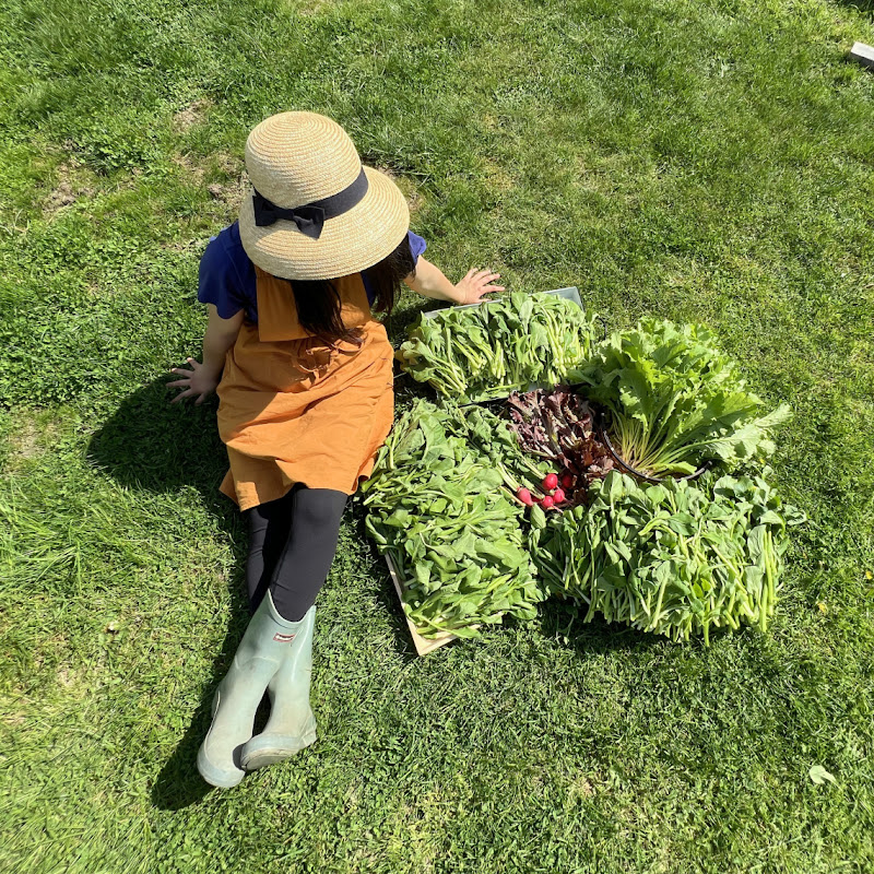 Junee Garden