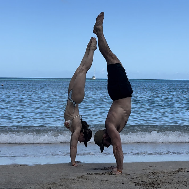 Life with Abbey & Harry