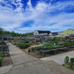 Pesche's Greenhouse
