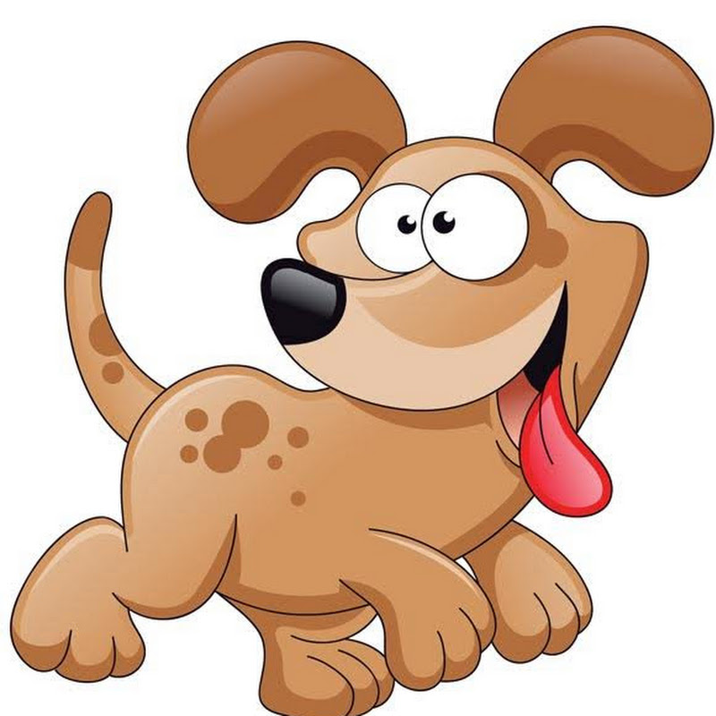 Funniest Animals' Views