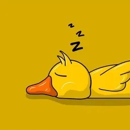 Snuggy Ducks 🪿