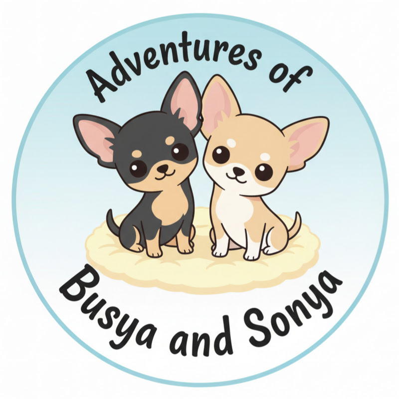 Busya and Sonya Life