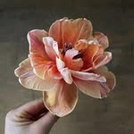 Flowers Vasette