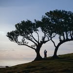 Photographer Madeira