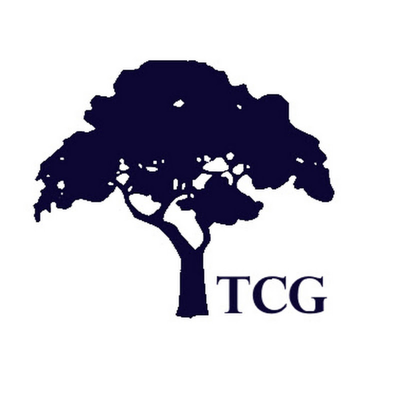 TEMPULSE GLOBAL CONSULTANCY B.V.