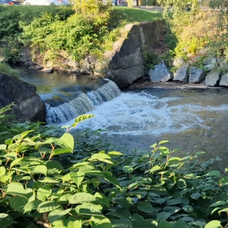 My life in Austria 🇦🇹