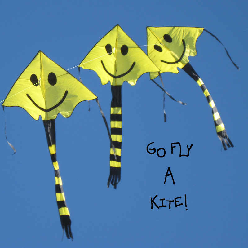 Jim Nicholls kites & kite-flying