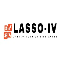 Lasso-iv
