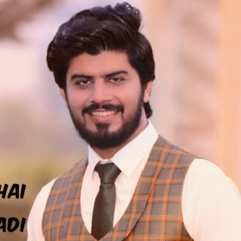 Punjabi Shok Vlogs