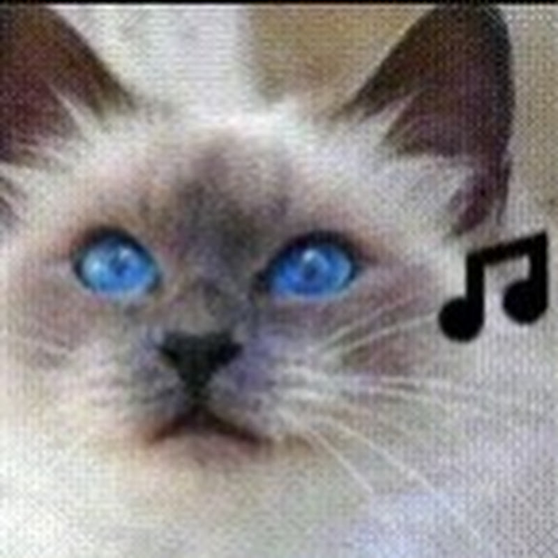 Svetlakan Music 🎵