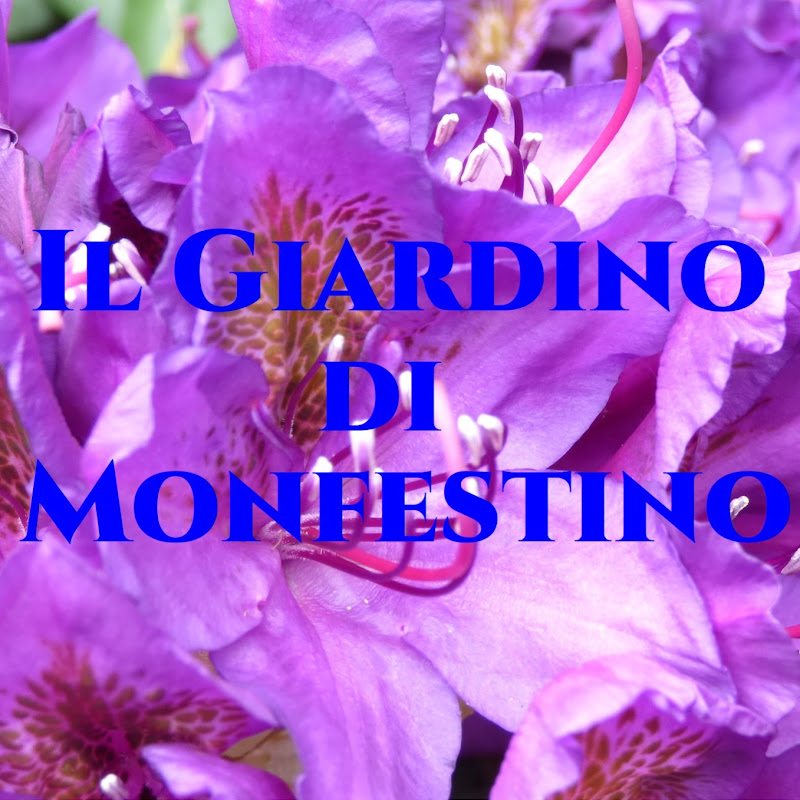 Il Giardino di Monfestino Gardeners World