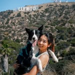 Blair & Zero & Uno| Dog Mom Life & Tips