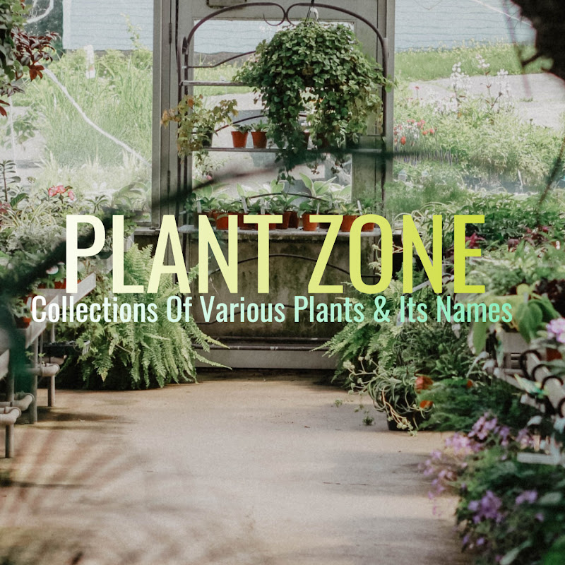 Plant Zone
