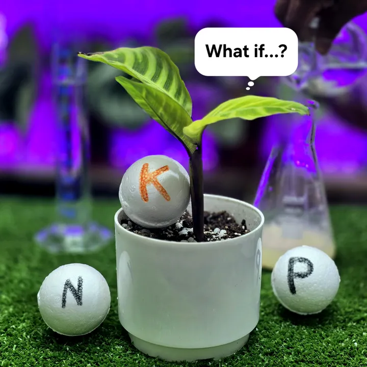 Plant Hack