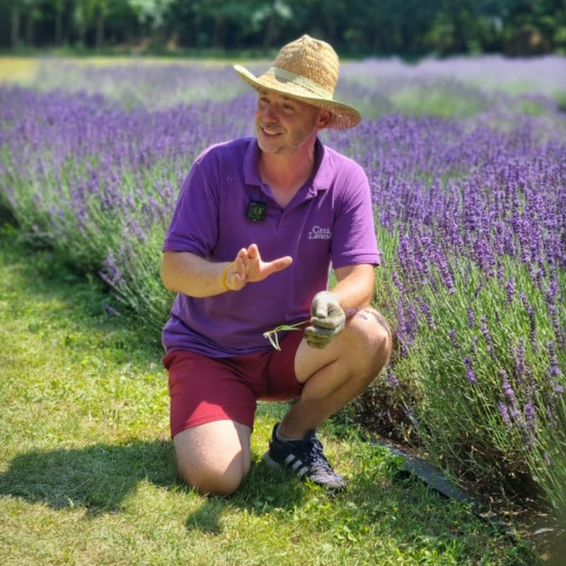 The Lavender Farmer