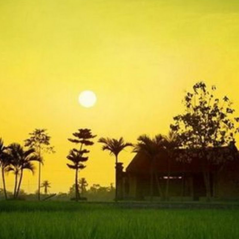 Bảo Long