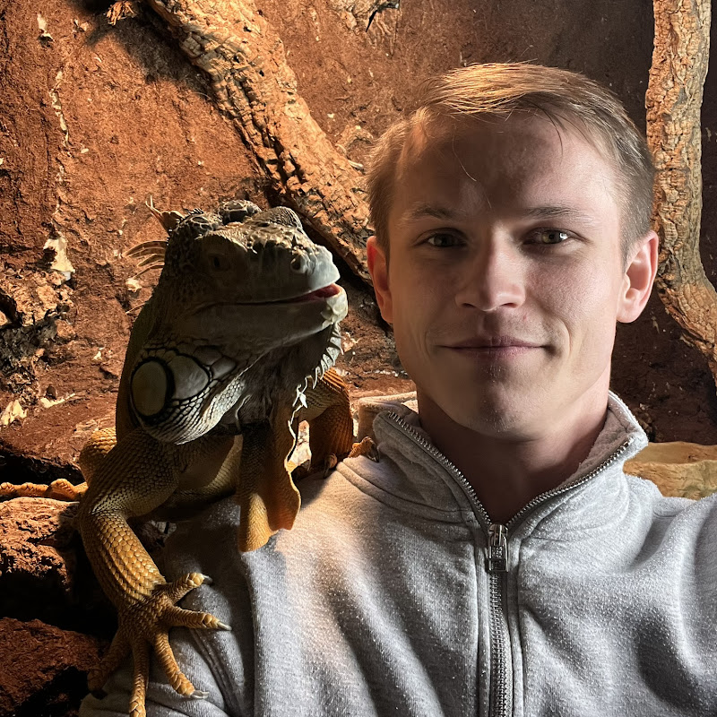 Lizardthebuddy 