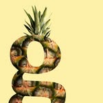 Grainsly | The Home of Slim Toast