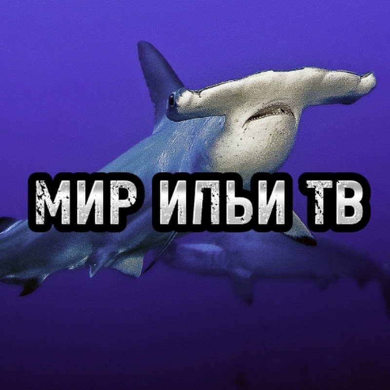 Мир Ильи ТВ