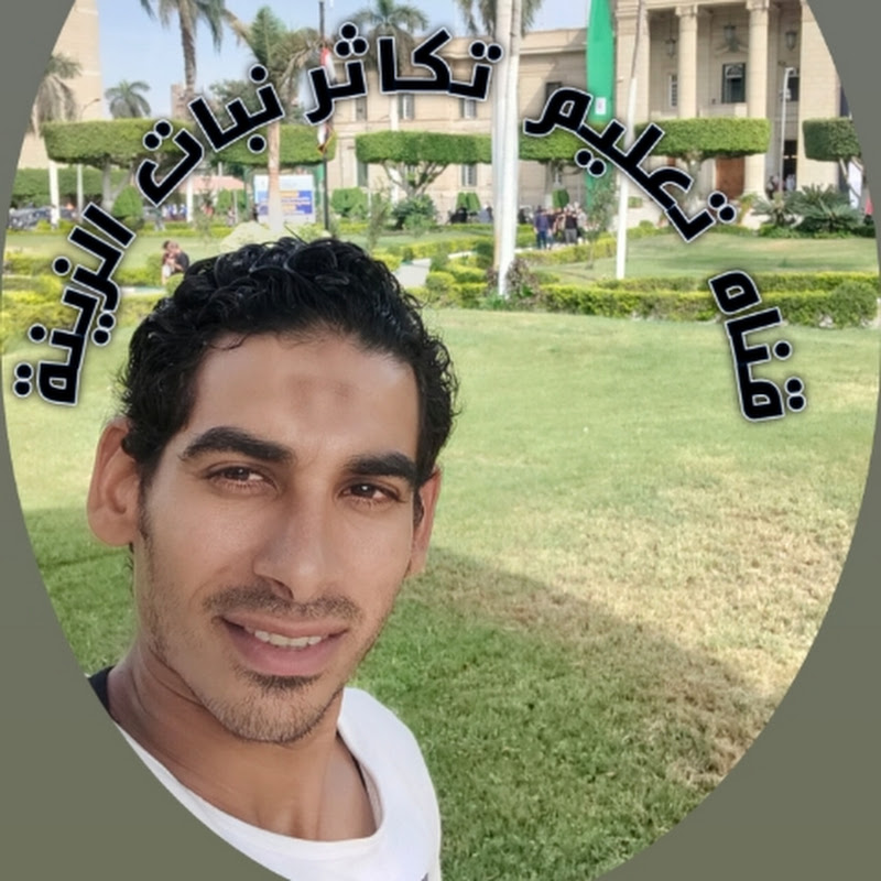 تعليم تكاثر نباتات الزينه