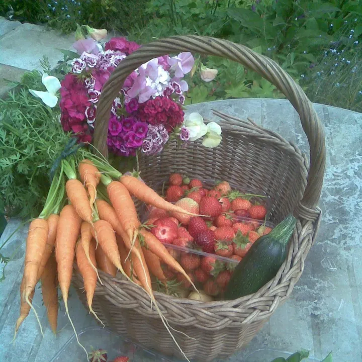 Notjustgreenfingers