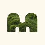 Mount Moss Terrariums & Workshops