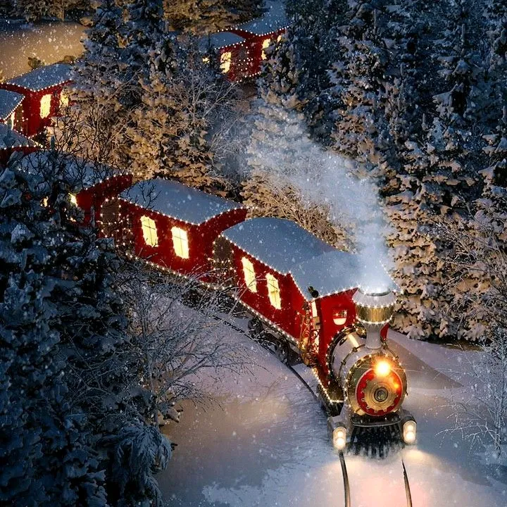 Winter wonderland