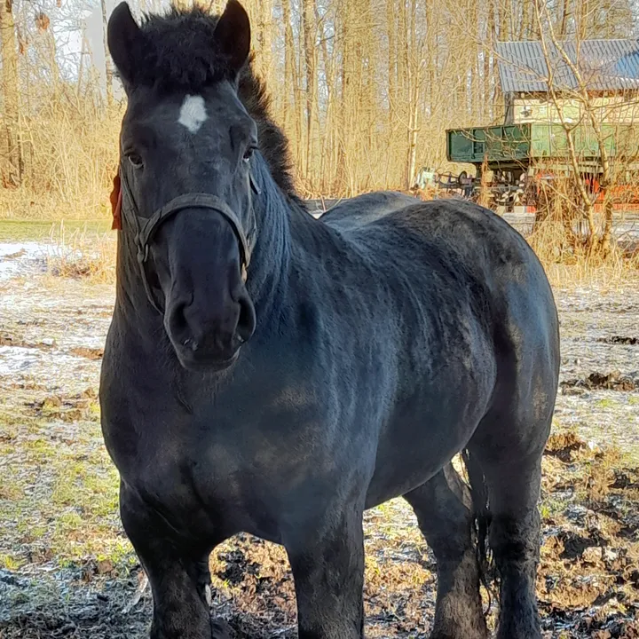 Agnieszka I Jarek z Bronowa
