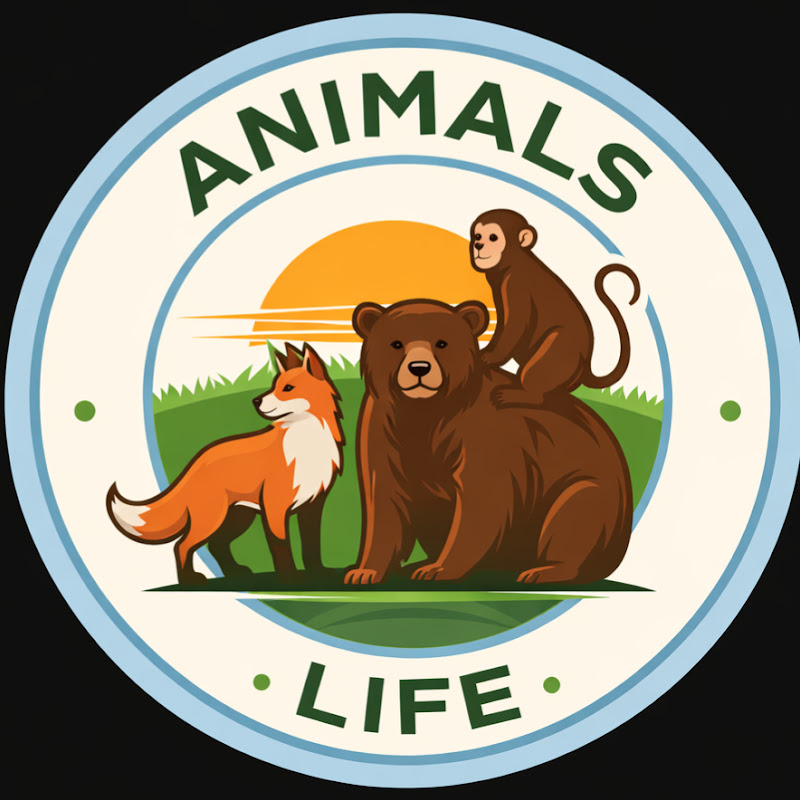 Animals in Amazone