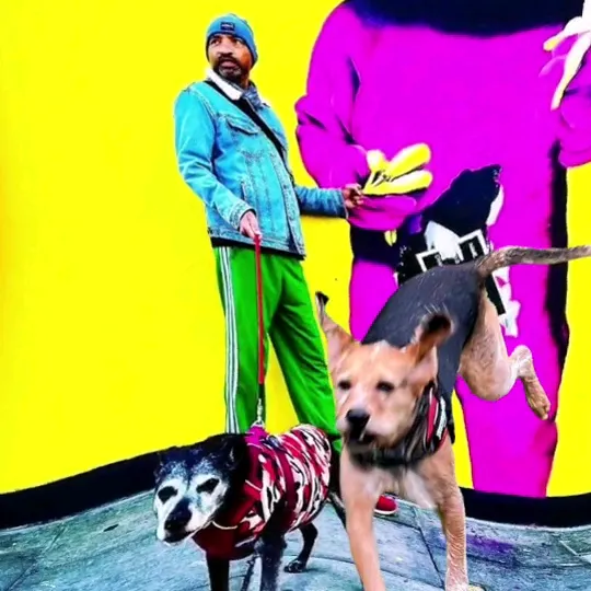 nottinghill paws