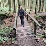 Dirk Vanhees
