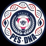 PES_DNA