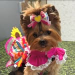 🎀Megg🎀 Pet Influencer