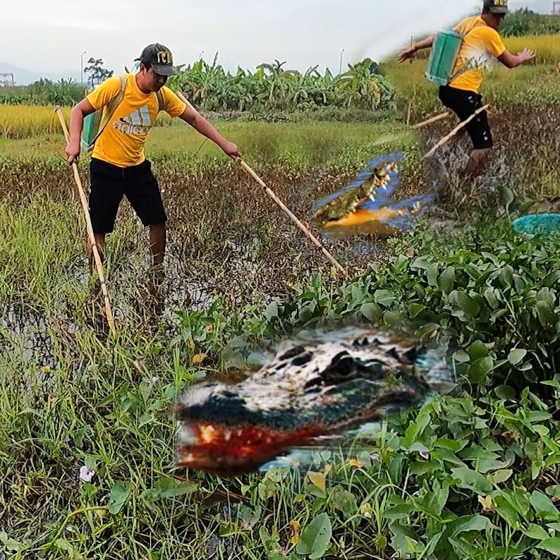 Quyen Fishing