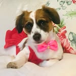 Lalita aka Lady Lala of Lima