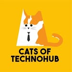 Cats of Technohub
