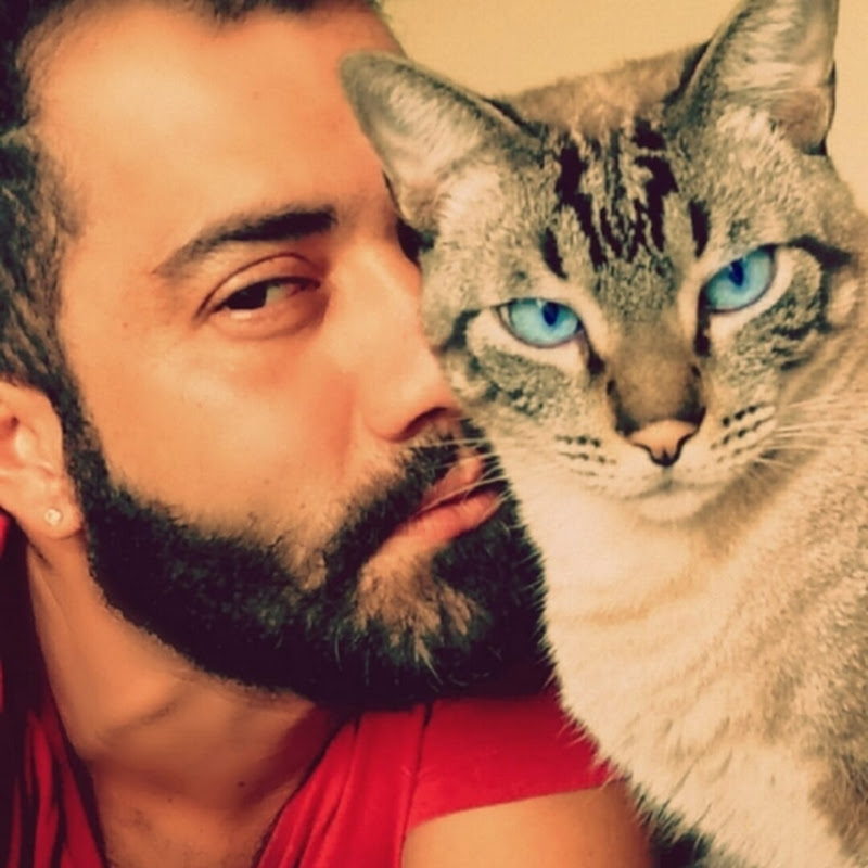 ZÉ GATÃO